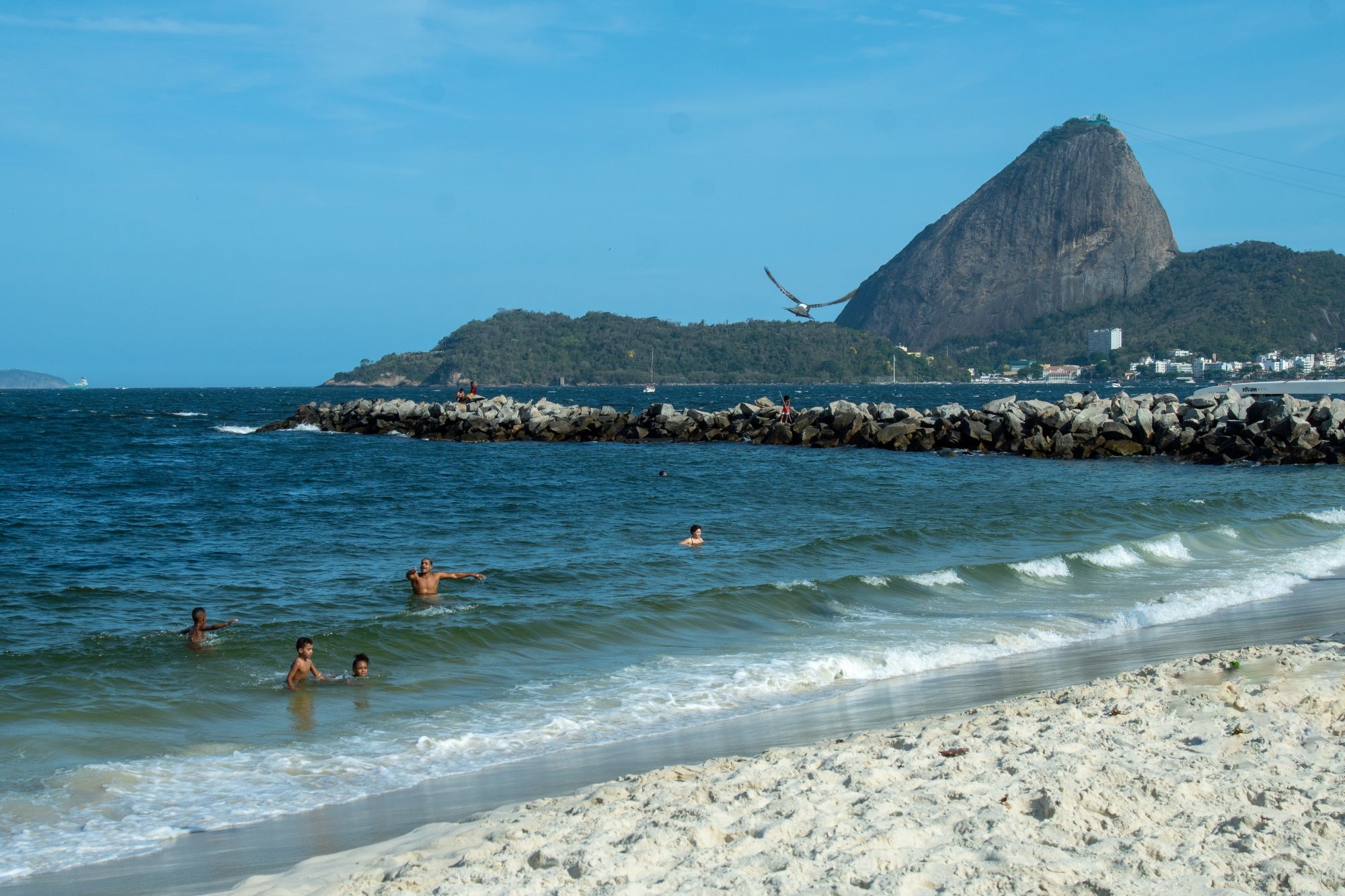 Recuperação da Baía de Guanabara avança e melhora a vida nos municípios ao seu redor